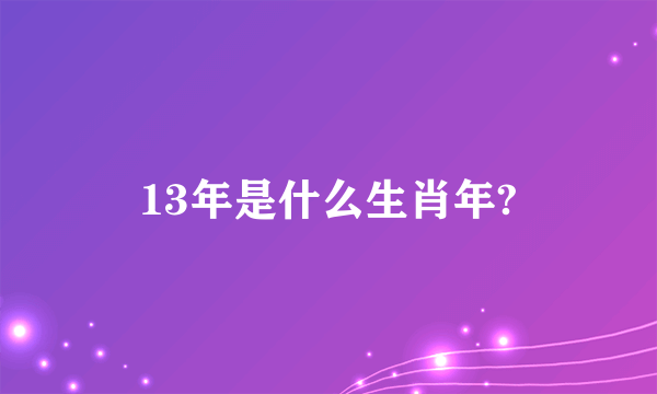 13年是什么生肖年?