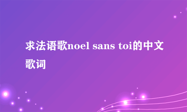 求法语歌noel sans toi的中文歌词