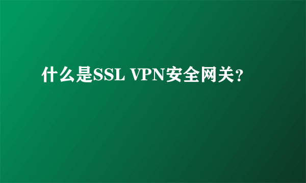 什么是SSL VPN安全网关？