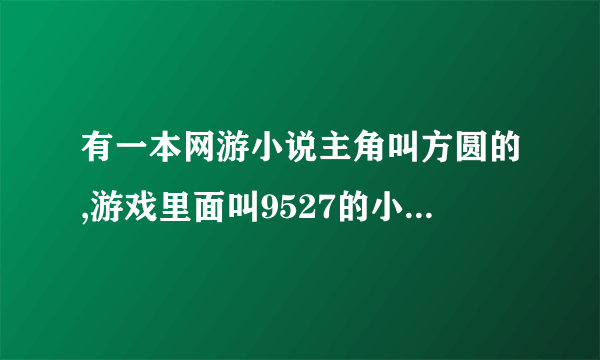 有一本网游小说主角叫方圆的,游戏里面叫9527的小说名字是什么