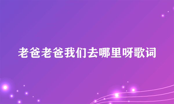 老爸老爸我们去哪里呀歌词