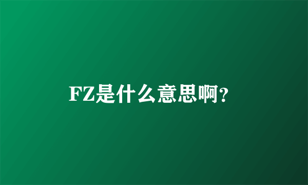 FZ是什么意思啊？