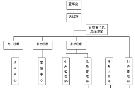 公司组织结构怎么写？