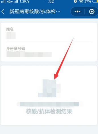 核酸检测报告怎么查询
