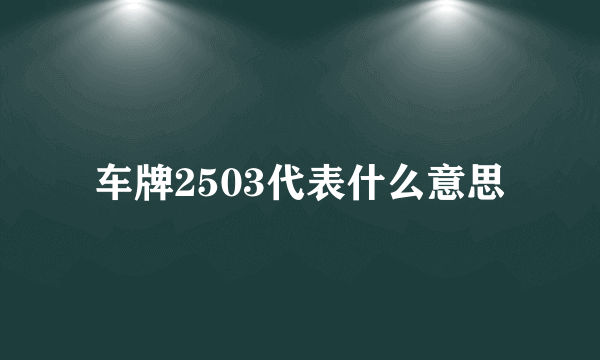 车牌2503代表什么意思