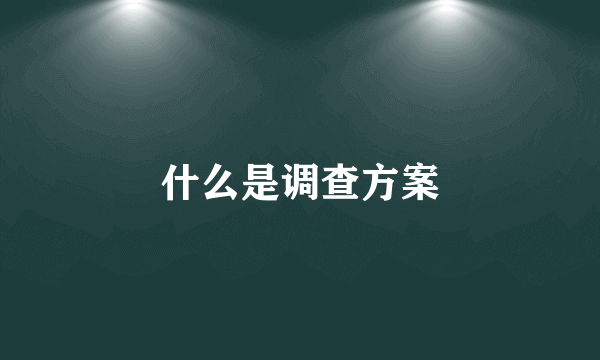 什么是调查方案