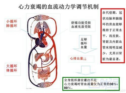 常见的电解质紊乱有哪些