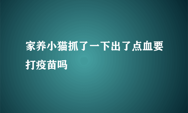 家养小猫抓了一下出了点血要打疫苗吗