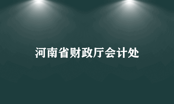 河南省财政厅会计处