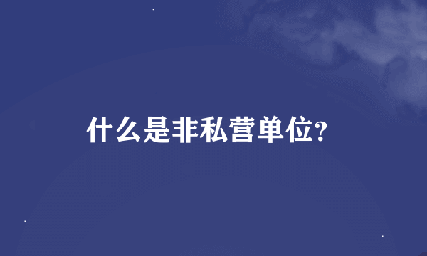 什么是非私营单位？