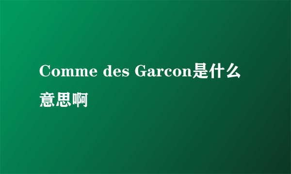 Comme des Garcon是什么意思啊