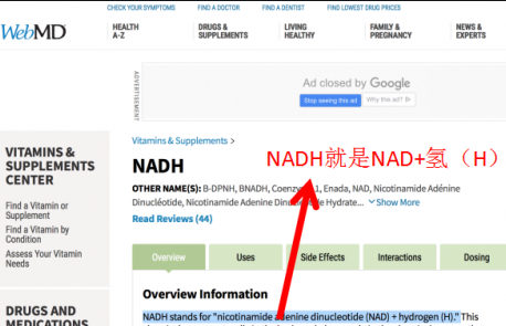 NADH是什么？