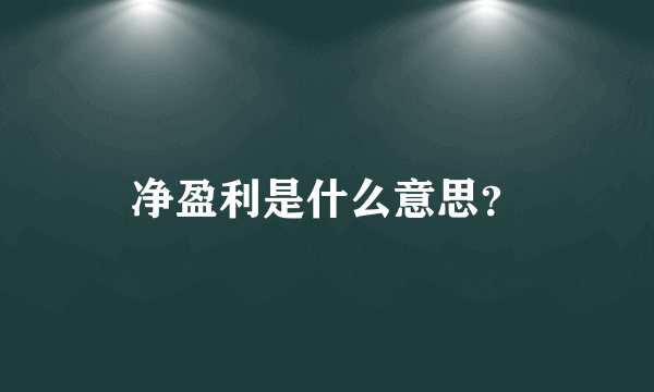 净盈利是什么意思？