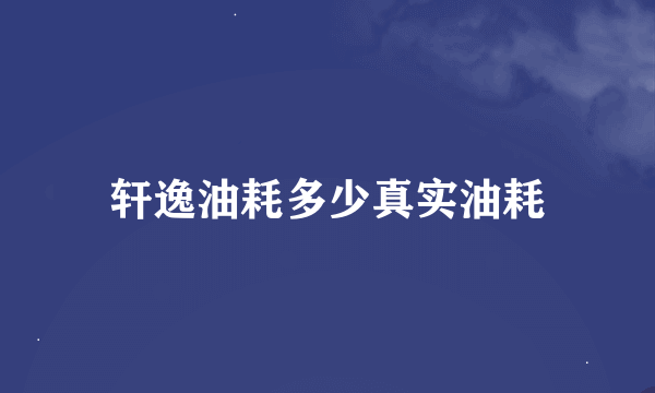 轩逸油耗多少真实油耗