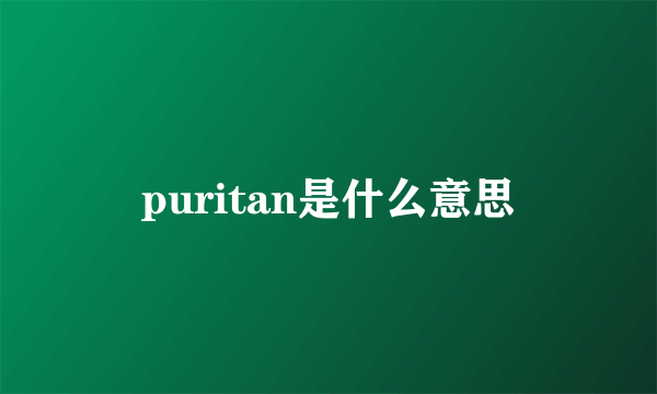 puritan是什么意思