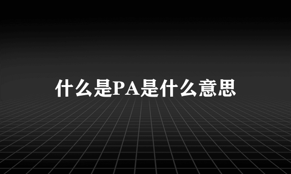 什么是PA是什么意思