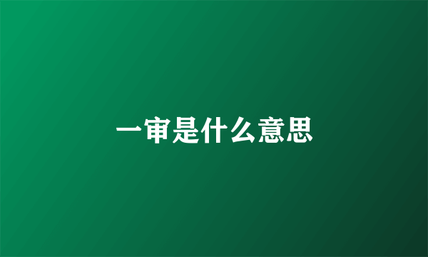 一审是什么意思