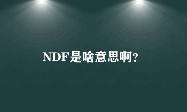 NDF是啥意思啊？