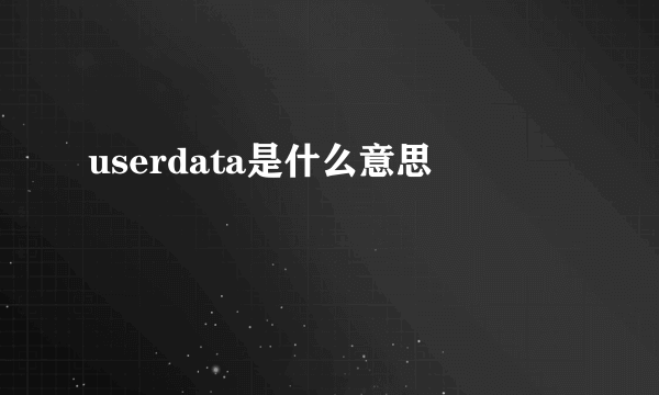 userdata是什么意思