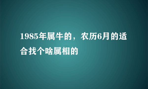 1985年属牛的，农历6月的适合找个啥属相的