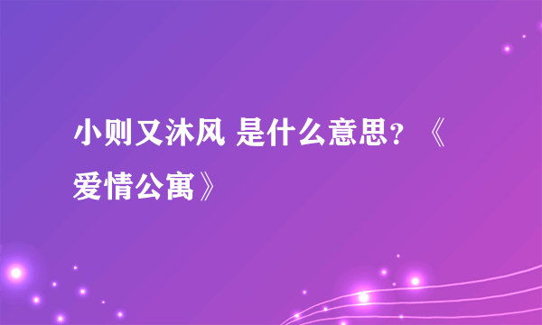 小则又沐风 是什么意思？《爱情公寓》