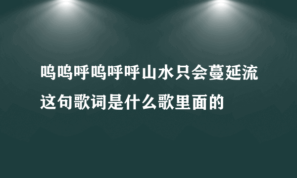 呜呜呼呜呼呼山水只会蔓延流这句歌词是什么歌里面的