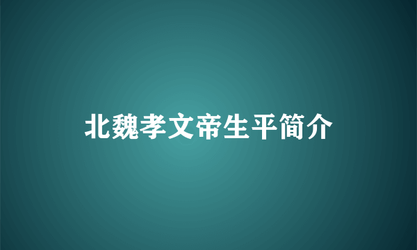 北魏孝文帝生平简介