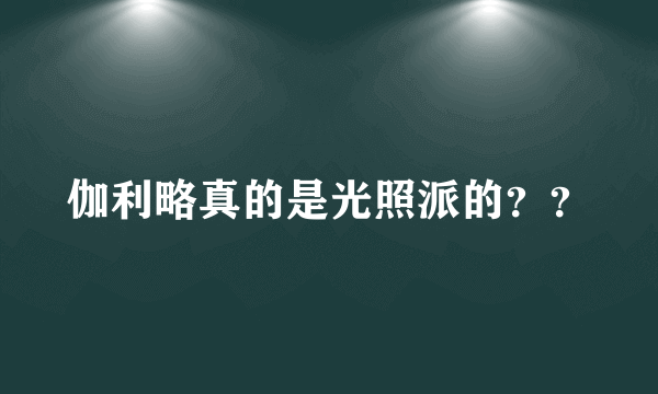 伽利略真的是光照派的？？