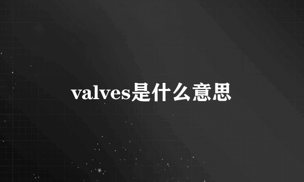 valves是什么意思