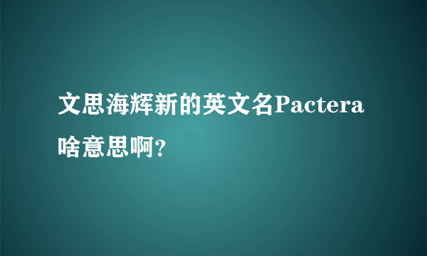 文思海辉新的英文名Pactera啥意思啊？