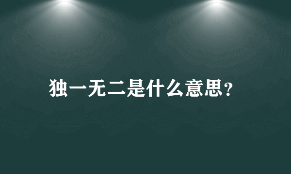 独一无二是什么意思？