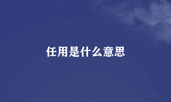 任用是什么意思