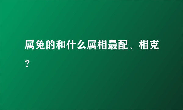 属兔的和什么属相最配、相克？