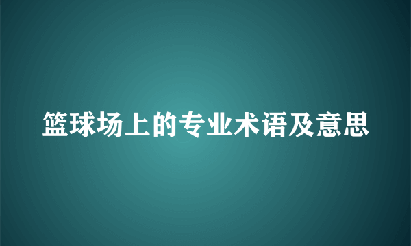 篮球场上的专业术语及意思