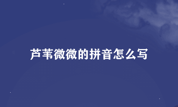 芦苇微微的拼音怎么写