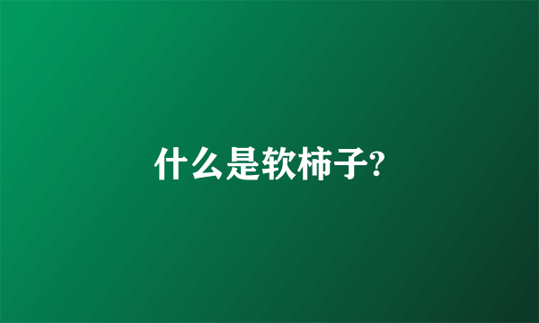 什么是软柿子?