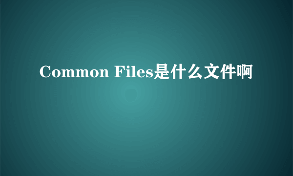 Common Files是什么文件啊