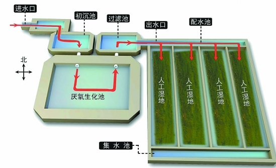 人工湿地的类型有哪些？