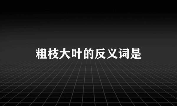 粗枝大叶的反义词是