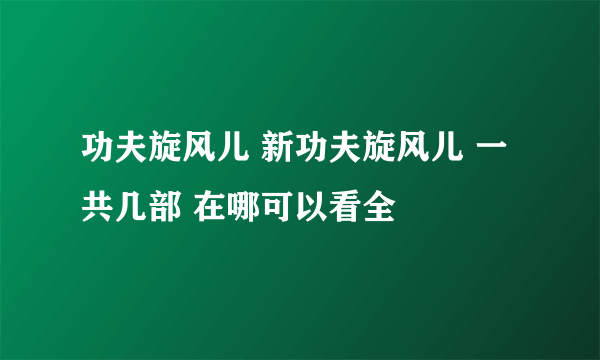 功夫旋风儿 新功夫旋风儿 一共几部 在哪可以看全