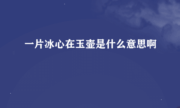 一片冰心在玉壶是什么意思啊