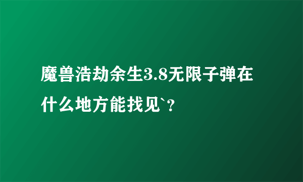 魔兽浩劫余生3.8无限子弹在什么地方能找见`？