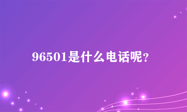 96501是什么电话呢？