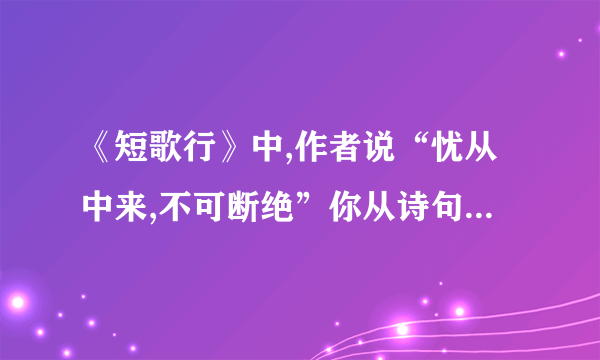 《短歌行》中,作者说“忧从中来,不可断绝”你从诗句中读出作者的哪些“忧”？