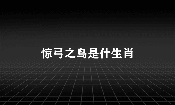 惊弓之鸟是什生肖