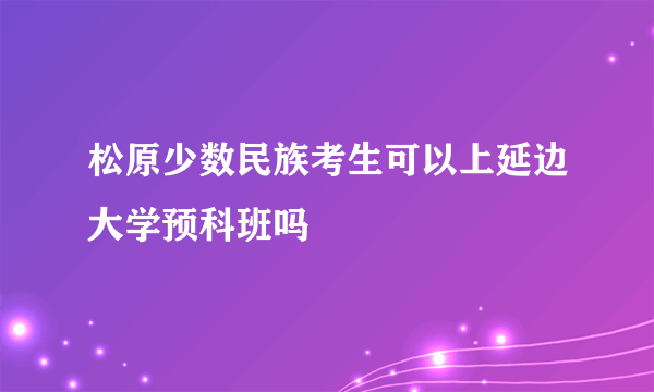 松原少数民族考生可以上延边大学预科班吗