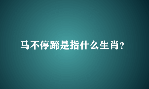 马不停蹄是指什么生肖？