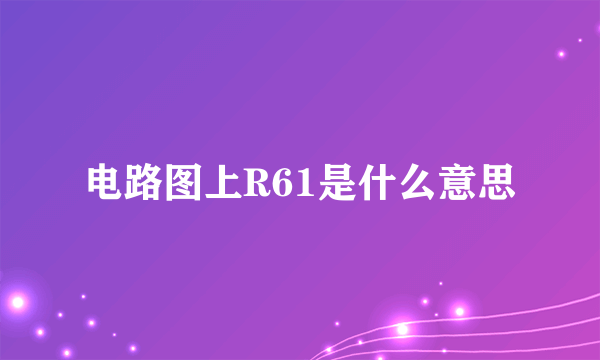 电路图上R61是什么意思