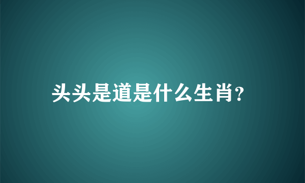 头头是道是什么生肖？