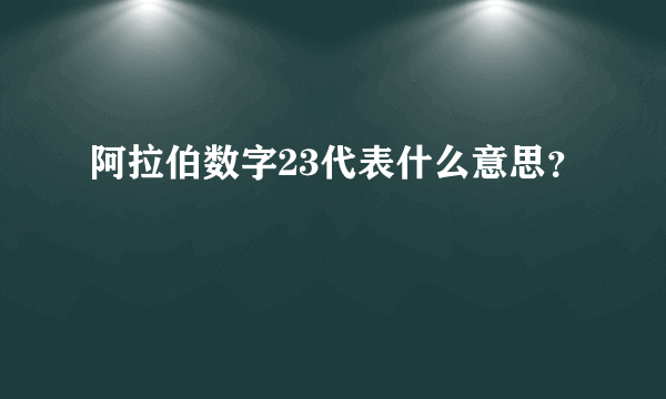 阿拉伯数字23代表什么意思？